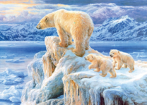 Полярные медведи изучают свою территорию