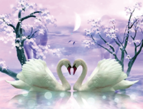 Два лебедя, цветущая сакура и луна