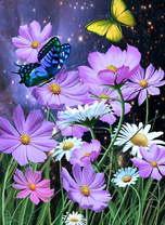 Бабочки над розовыми цветами космеи