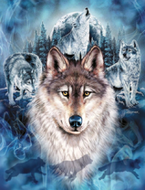 Волка на фоне зимнего леса и гор