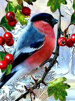 Снегирь на ветке с плодами