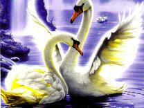 Лебедь машет крылами