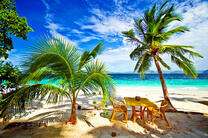 Столик под пальмами на берегу моря