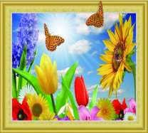 Бабочки на цветах под лучами солнца