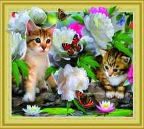 Котята и бабочки на пионах