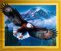 Орёл над горным лесом