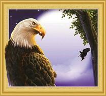 Красивый орлан на фоне луны