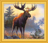 Лось с большими рогами у лесного озера