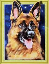 Немецкая овчарка на фоне ночного неба