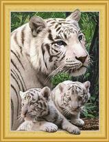 Белая тигрица с котятами в летнем лесу