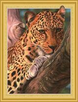 Молодой леопард отдыхает на развилке дерева