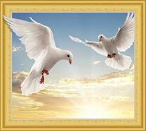 Пара белых голубей на фоне солнечных лучей