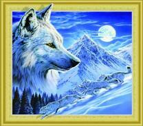 Белые волки на заснеженной скале под луной