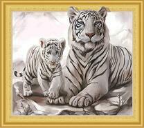 Белые тигрица с тигренком в горах