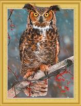 Филин на ветке рябины