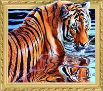 Большой тигр в озере