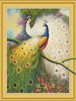 Красивые белый и сине-зеленый павлины