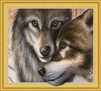 Пара молодых волков на фоне снега