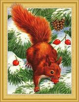 Белочка на заснеженных ветвях сосны