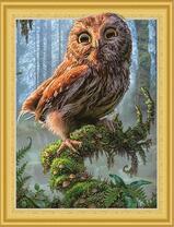 Маленький совенок в дремучем лесу