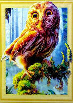 Удивленный филин на ветке ели