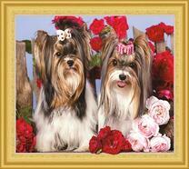 Пара йоркширских терьеров в цветах роз