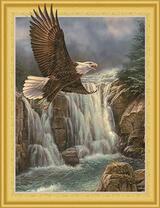 Орлан у скал с водопадом