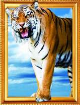 Грозный тигр на снегу