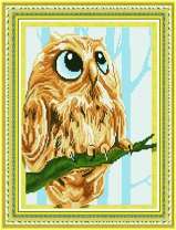 Сова с большими голубыми глазами