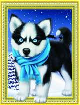 Милый щенок хаски с шарфиком