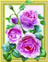 Красивые розы необычного цвета