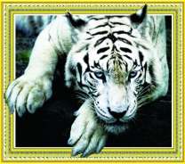 Большой белый тигр