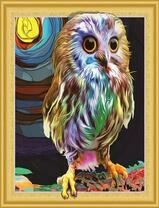 Молодой совенок в ярких красках