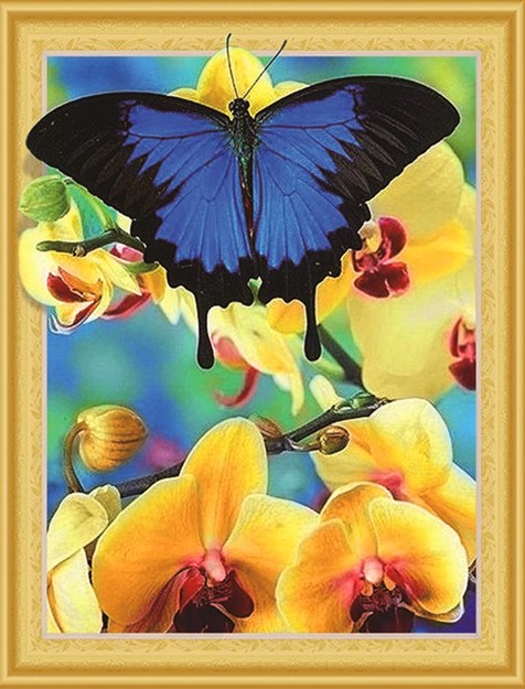 Алмазная мозаика 5D 40x50 Красивая бабочка на желтых орхидеях