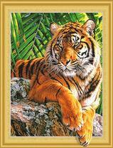 Большой тигр на камне под зелеными листьями