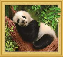 Малыш панда спит в развилке дерева