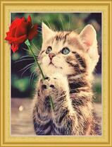 Милый котеночек с красной розой