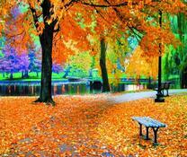 Опадающие листья в парке у озера