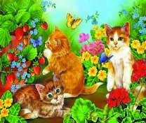 Котята играют в домашнем саду