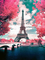 Розовая осень в Париже