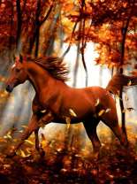 Конь в осеннем лесу
