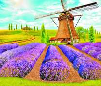 Мельница у лавандового поля