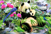 Панда с малышом в чудесном месте
