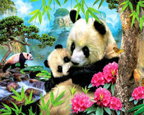 Панда обнимает своего малыша