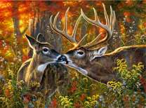 Олений поцелуй