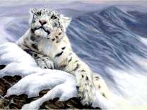 Барс на заснеженной скале