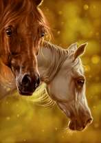 Жеребёнок и лошадь на фоне желтого леса