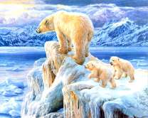 Семья белых медведей на обледенелой скале