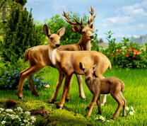 Семья оленей на лесной опушке