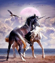 Черный и белый единороги у моря